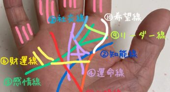 ココナラの手相占いは当たる！ボリューム満点の写真解説で悩みも解決!