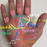 ココナラの手相占いは当たる！ボリューム満点の写真解説で悩みも解決!