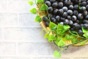 人の夢によく登場するらしい私がブルーベリーを（笑）夢占いは？