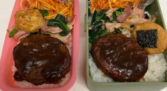 今日のお弁当「ハンバーグ弁当」