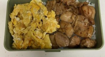 焼き鳥のちょ～手抜きすぎるお弁当！（笑）