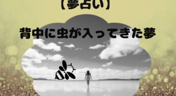 【夢占い】背中にいっぱい虫が入ってきた気持ちの悪い夢!夢診断をしてみた！