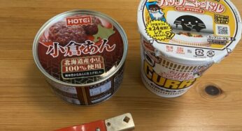 TV「なんなん？」であんことカレーヌードルの相性がいいって気になった！