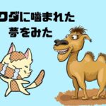 【夢占い】ラクダにうでを噛まれた夢をみた！ Σ(￣□￣|||)