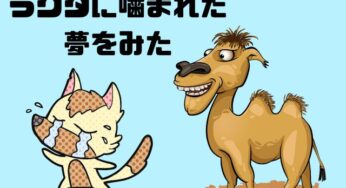 【夢占い】ラクダにうでを噛まれた夢をみた！ Σ(￣□￣|||)