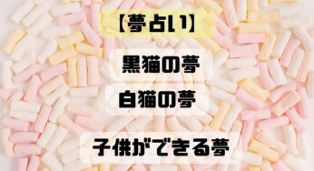 【夢占い】黒猫の夢・白猫の夢・猫に噛まれる夢の意味とは？