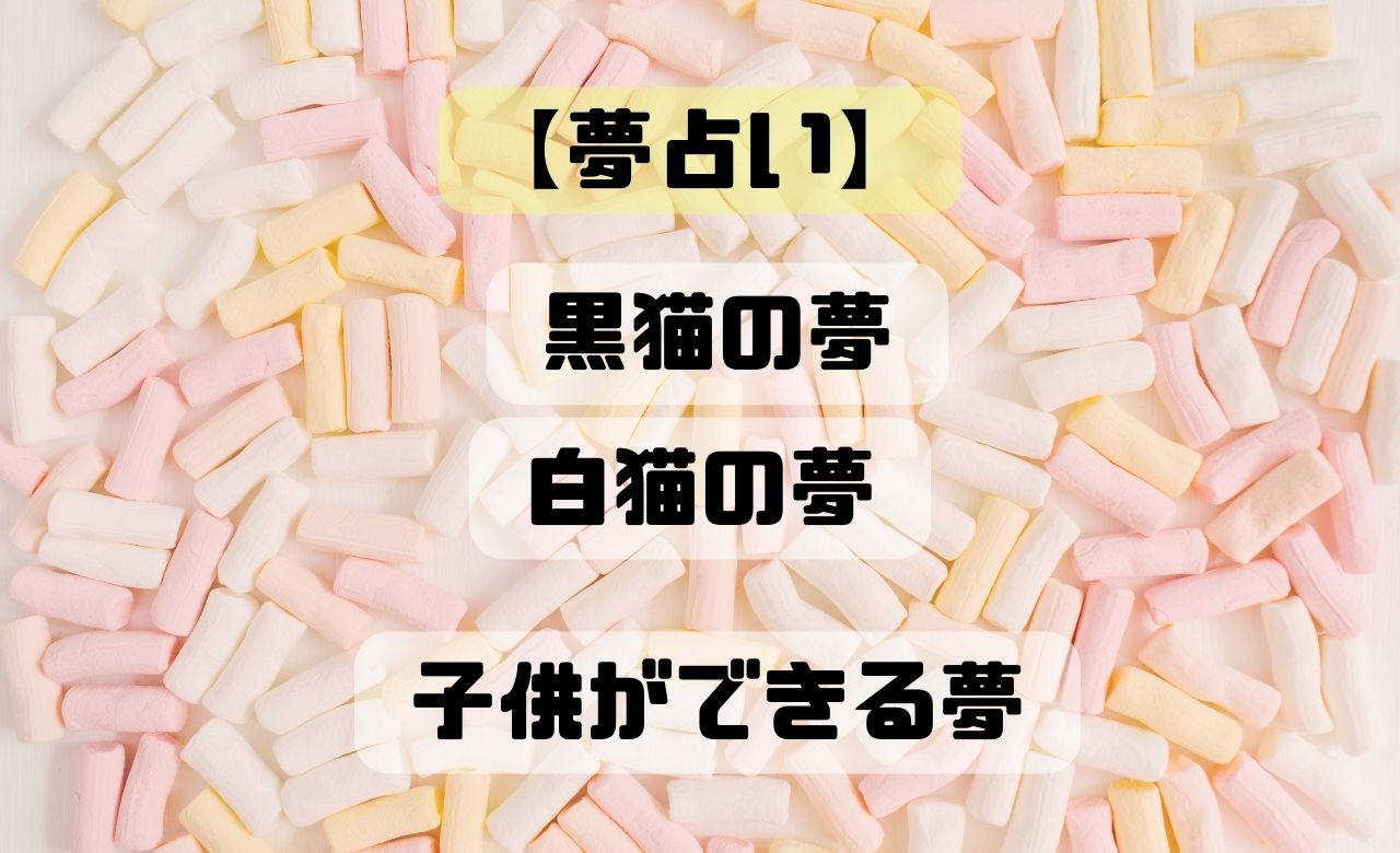 【夢占い】黒猫の夢・白猫の夢・猫に噛まれる夢の意味とは？