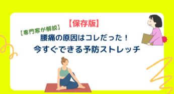 【専門家推奨】腰痛を根本から改善！3秒でできる簡単体操＆ストレッチ方法！
